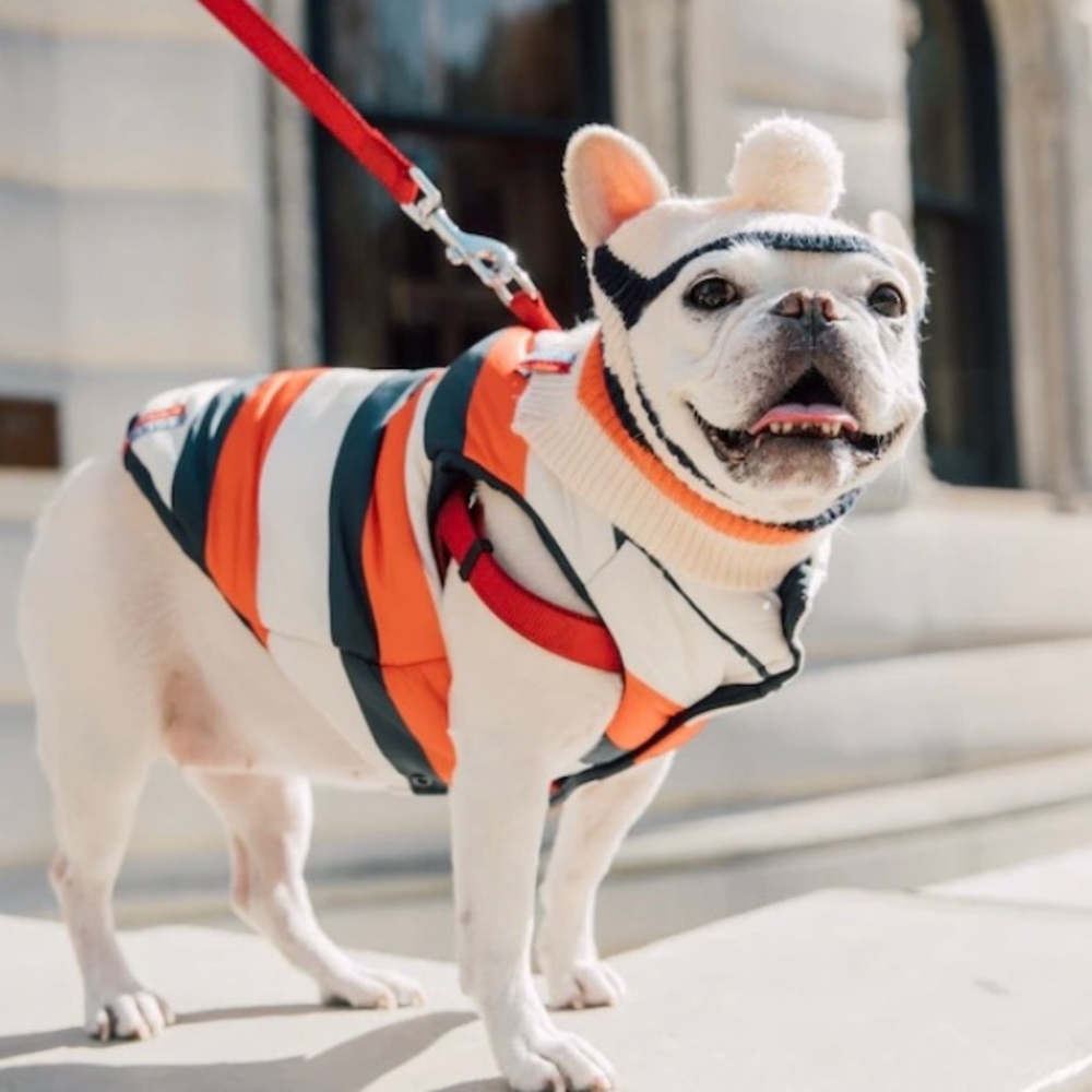 KULE X MAXBONE DOG PUFFER